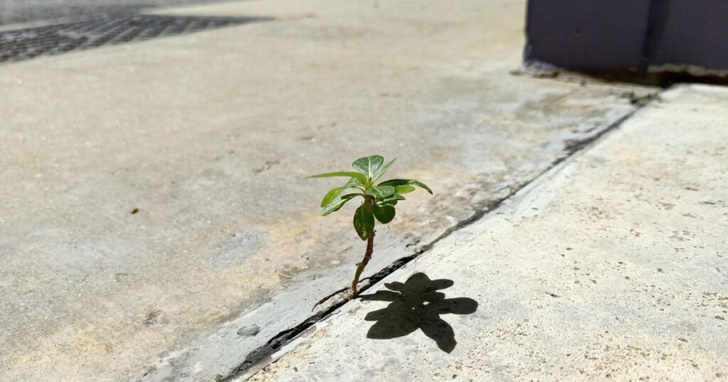 como aumentar a resiliência emocional