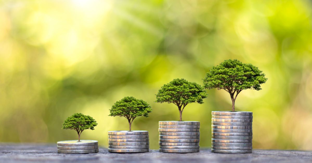 mentalidade de crescimento blog costtama