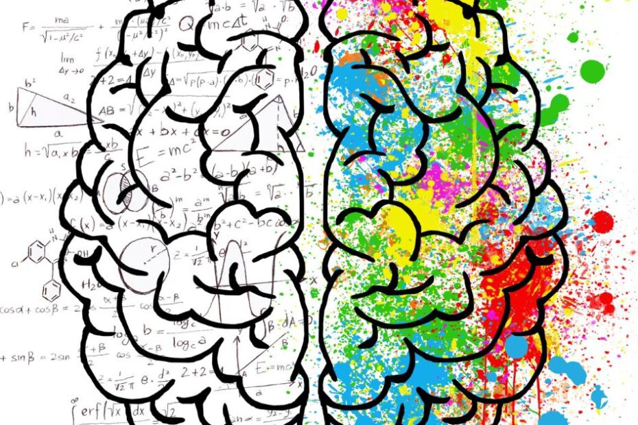 cérebro mais criativo blog costtama